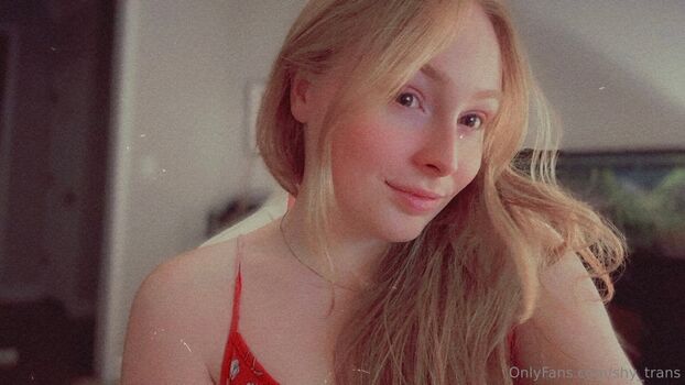 shy_trans
