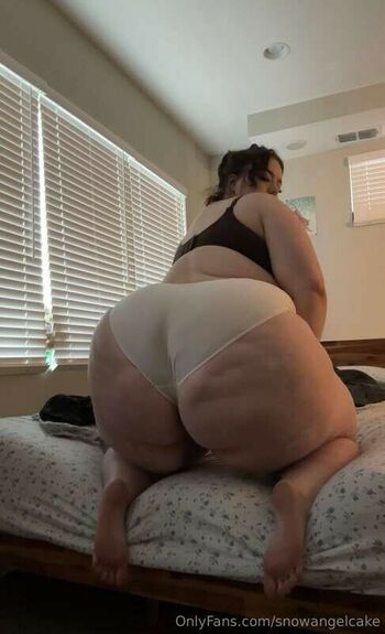 snowangelcake
