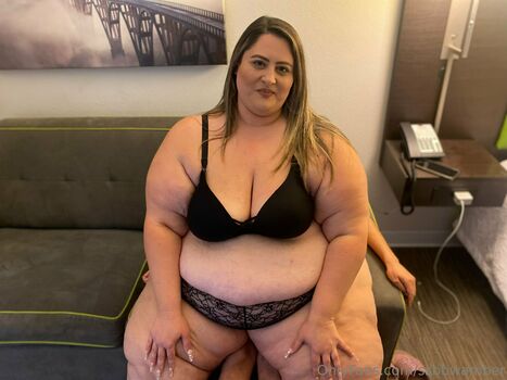 ssbbwamber