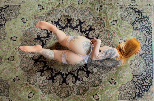Starrybunny