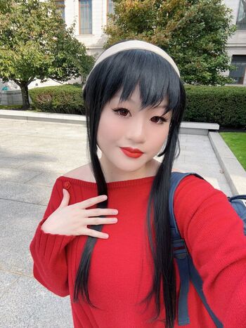 stel.hua