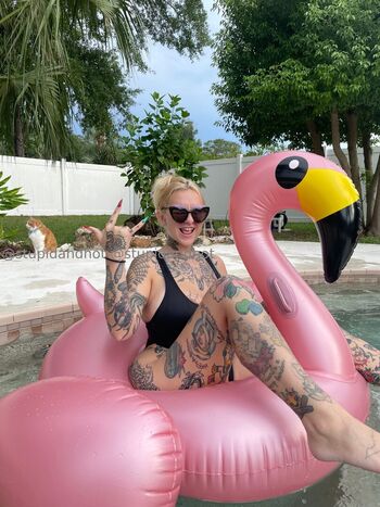 stupiderandhotter