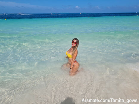 Tamita_gows