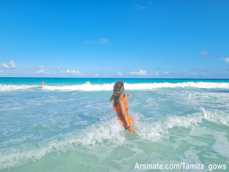 Tamita_gows