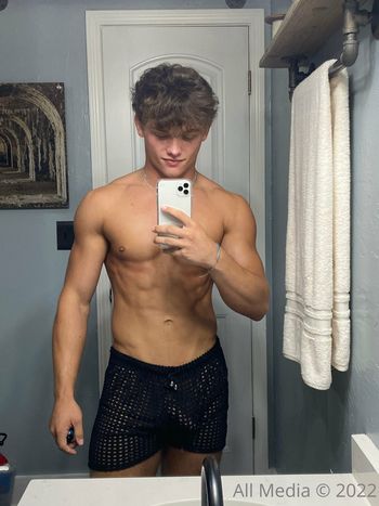 taylorsfree