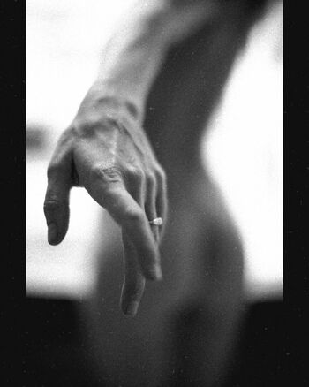 Teri Wyble
