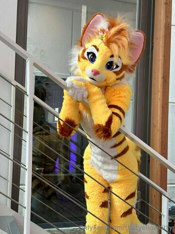 thatyellowkitty