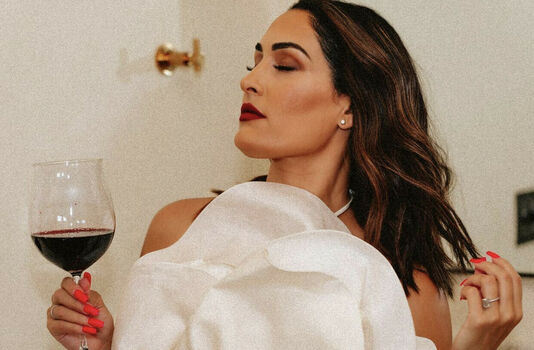 The Bella Twins