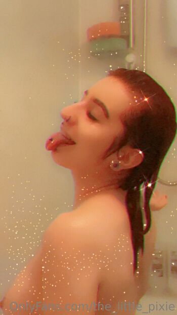 the_little_pixie
