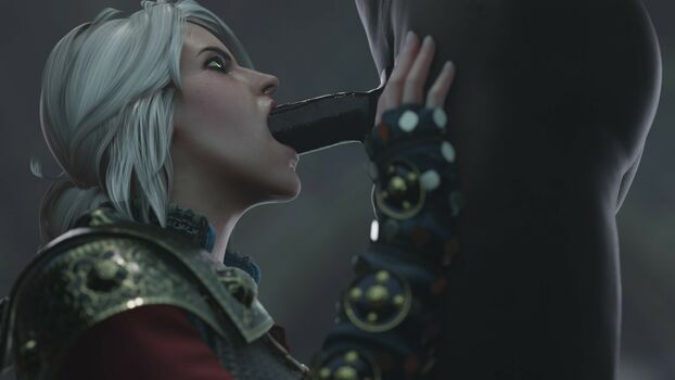 The Witcher