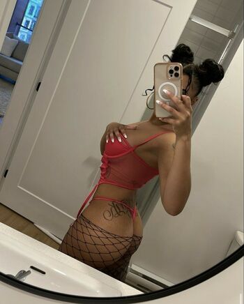 Thedressyguru
