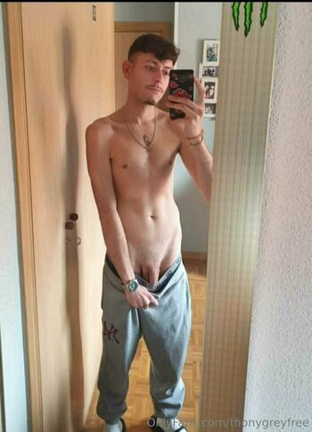 thonygreyfree