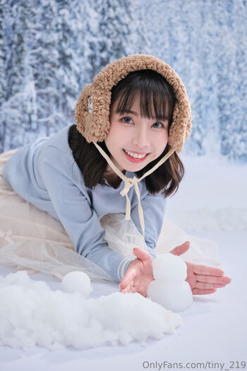 Tiny_219