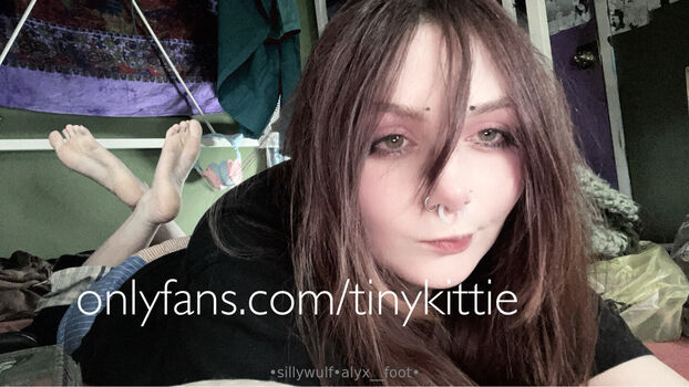 tinykittie