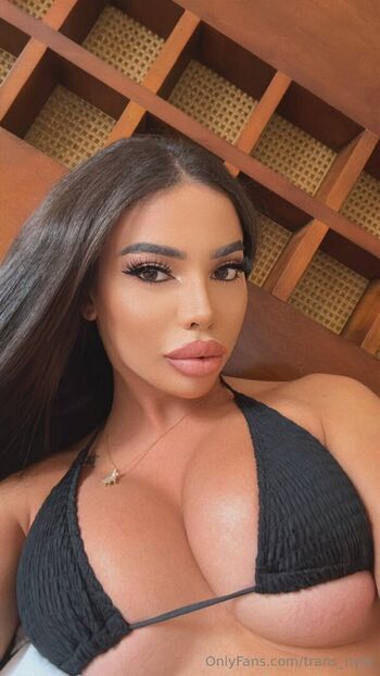 trans_nyla
