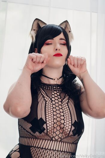 Valkydesigns