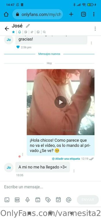 vannesita21
