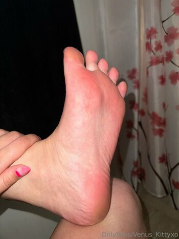 venus_kittyxo