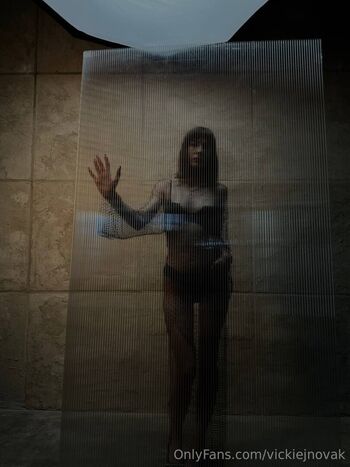 vickienovak