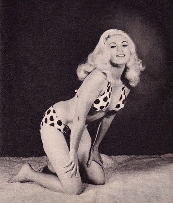 Vintage English Pinups