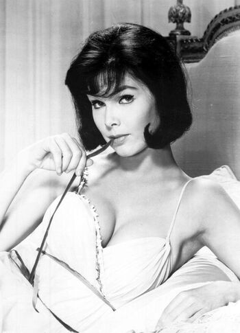 Vintage Sexy Celebs