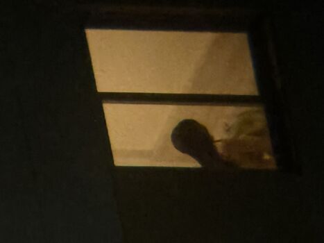 Voyeur Vizinha