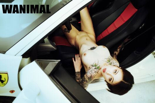 Wanimal Models