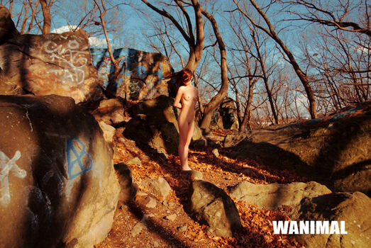 Wanimal Models