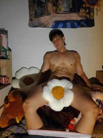 watanabekung24