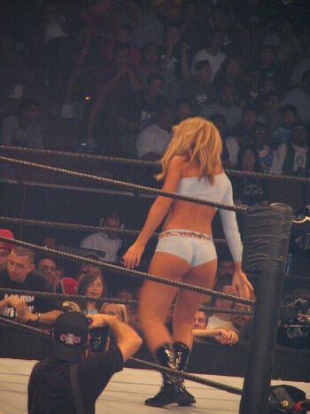 WWE Michelle McCool