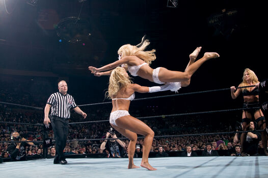 WWE Torrie Wilson