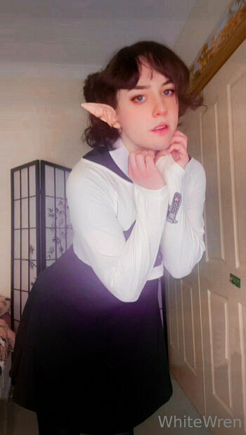 xwhitewrenx